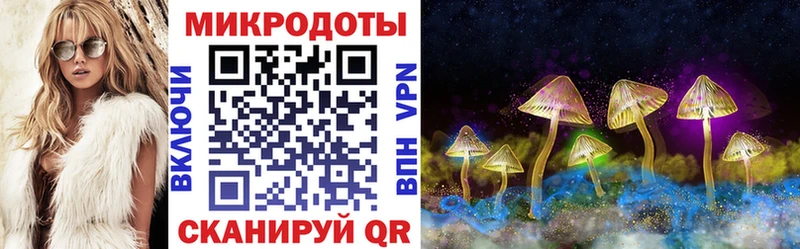Галлюциногенные грибы мухоморы  Чёрмоз 